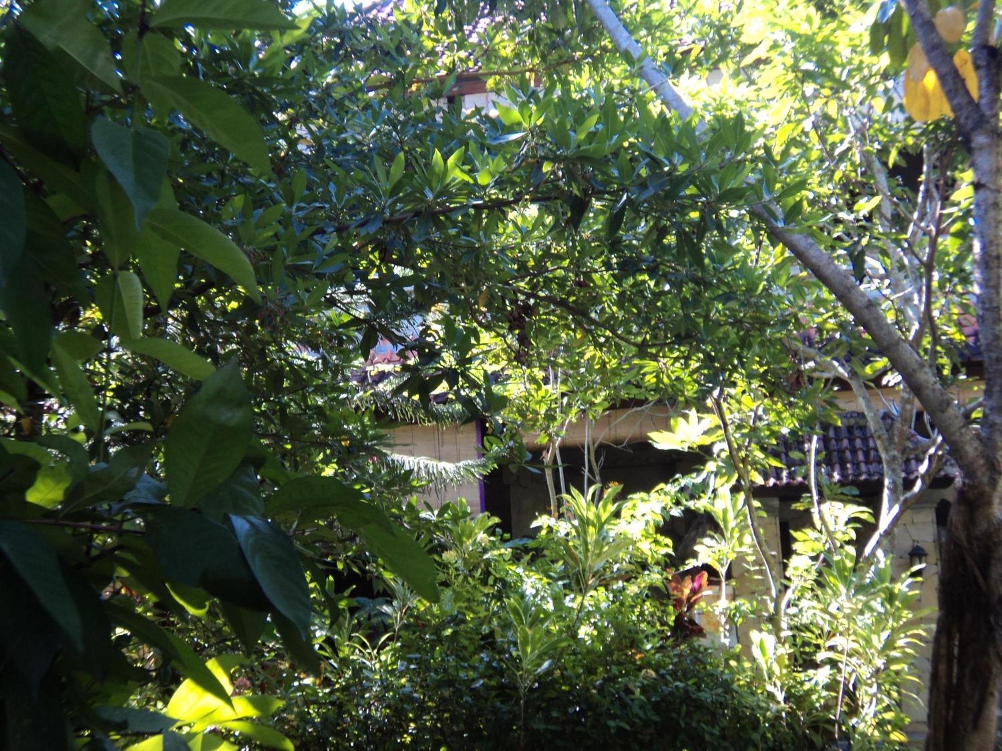 אובוד Villa Bhuana Alit מראה חיצוני תמונה